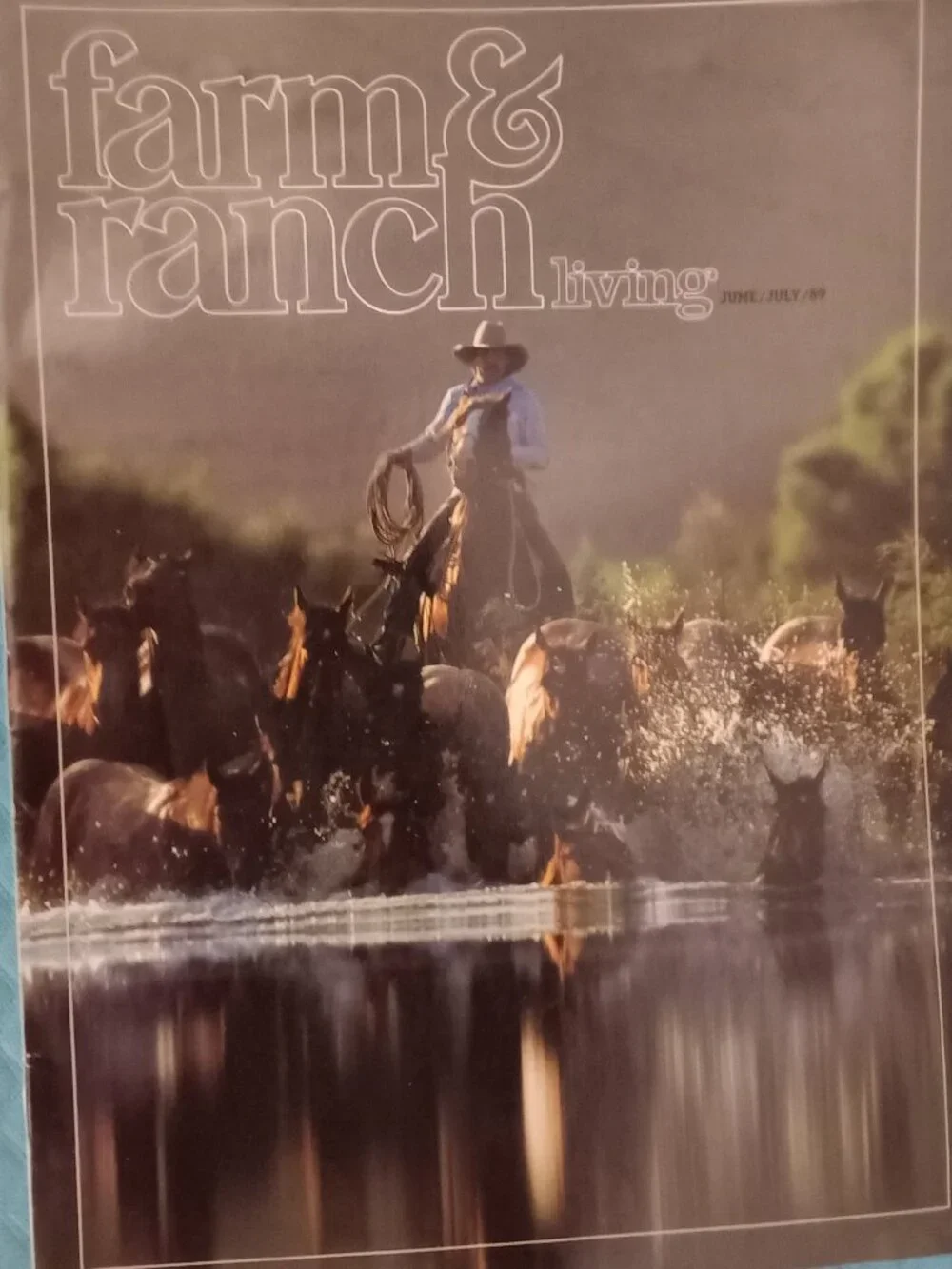 Reiman Publishing vintage 1989